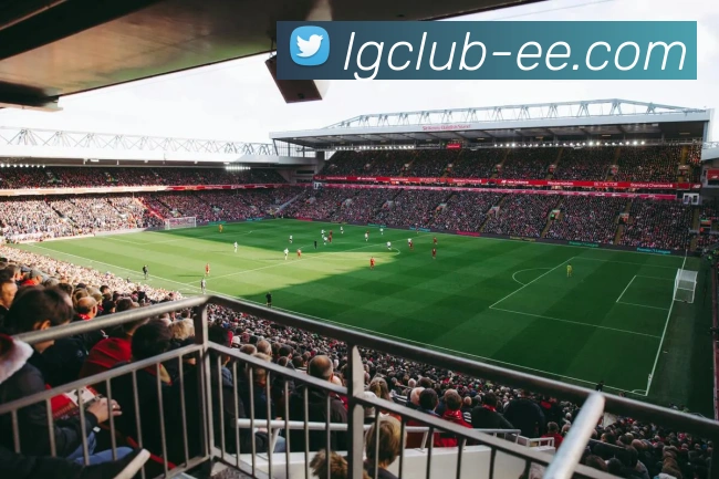 App Interface Preview